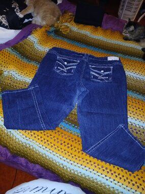 Womens Plus Amethyst Jeans Size 20 Bling Embroidered Pockets Blue Jean Capris